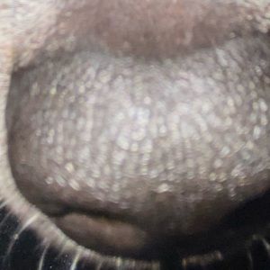 Meet your Posher, Joelle